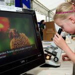 Discovery Zone at the Great Yorkshire Show