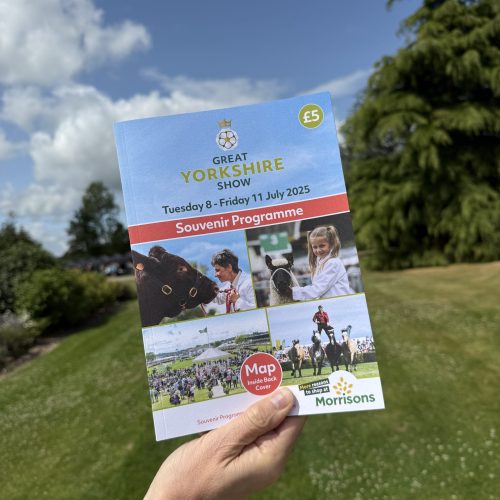 show-programme show-programme