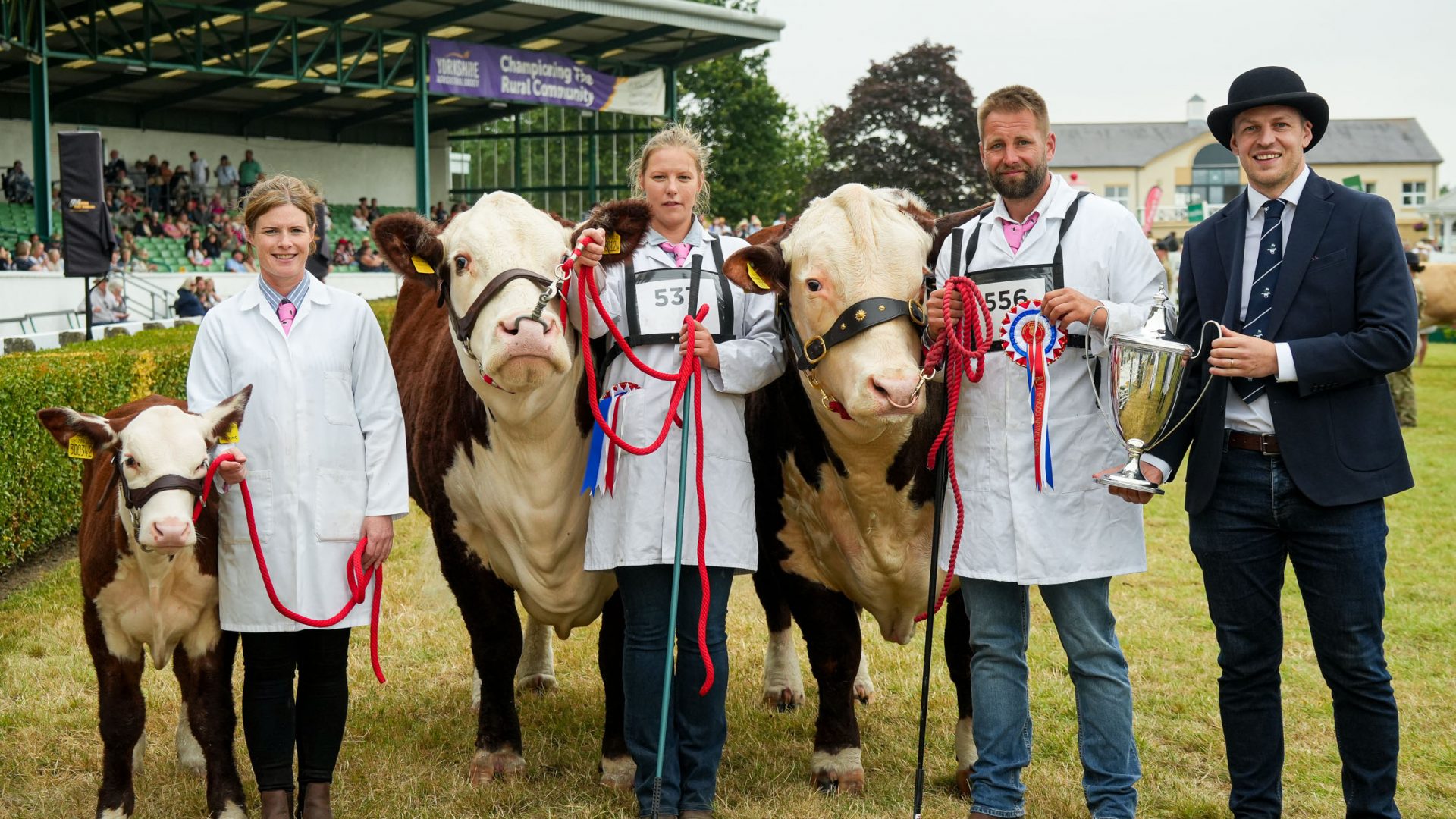 GYS26_Margaret Chapman BEEF PAIRS - Native Herefords,  L. to R. Avril Aitken, Winning Cow Spartan 1 Victorias Secret, with handler Emma Hodge, Bull RM1 Blade with handler Luke Murphy with Asda's Joe Proshow