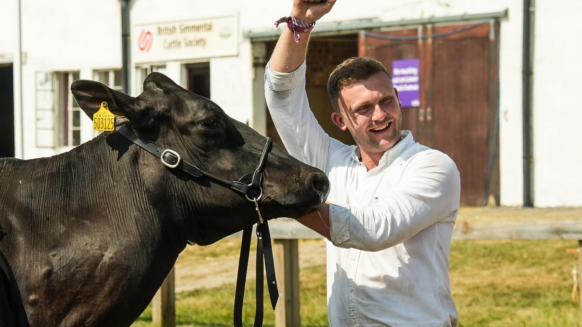 GYS26_Supreme Dairy Winner, Holstein Bartinney Duplo Swizzle and handler Will Horsley from Penrith