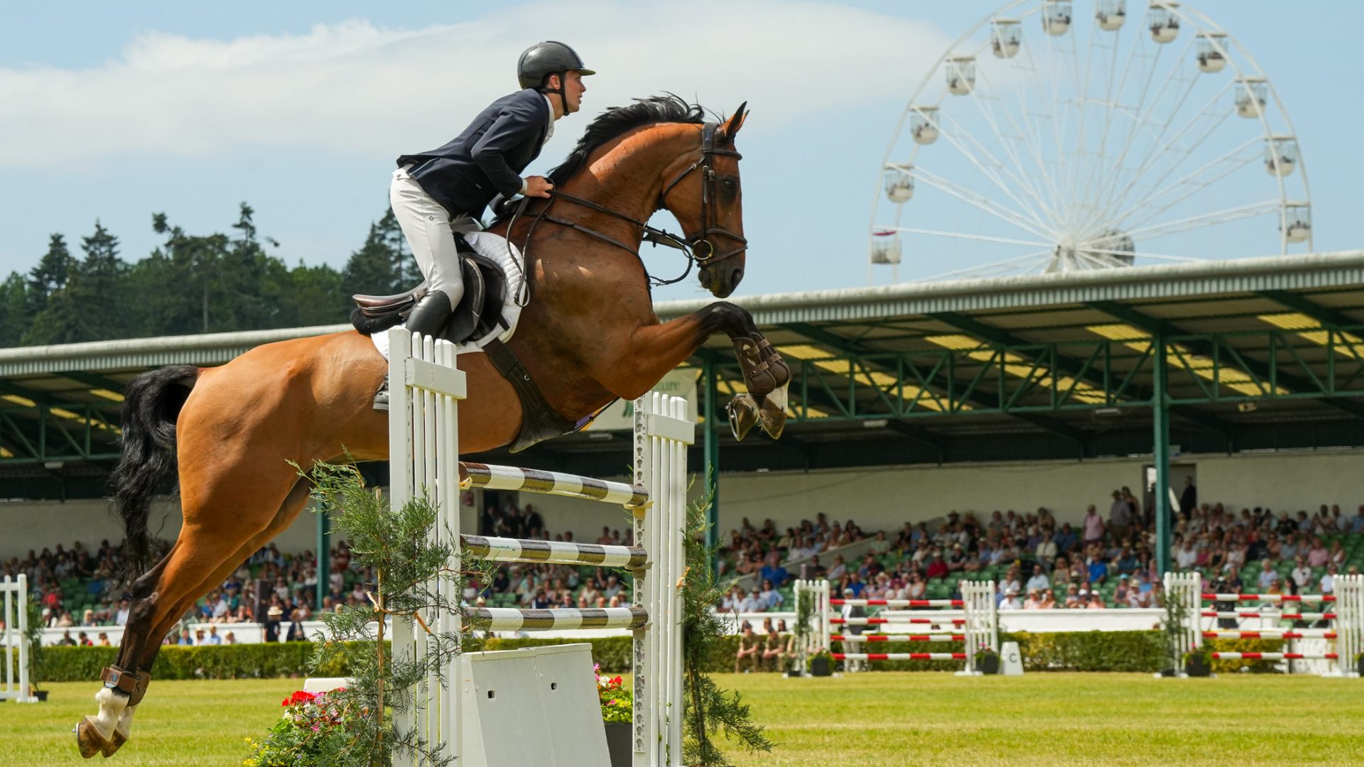 gys26_william-hanson-stakes-showjumping__003