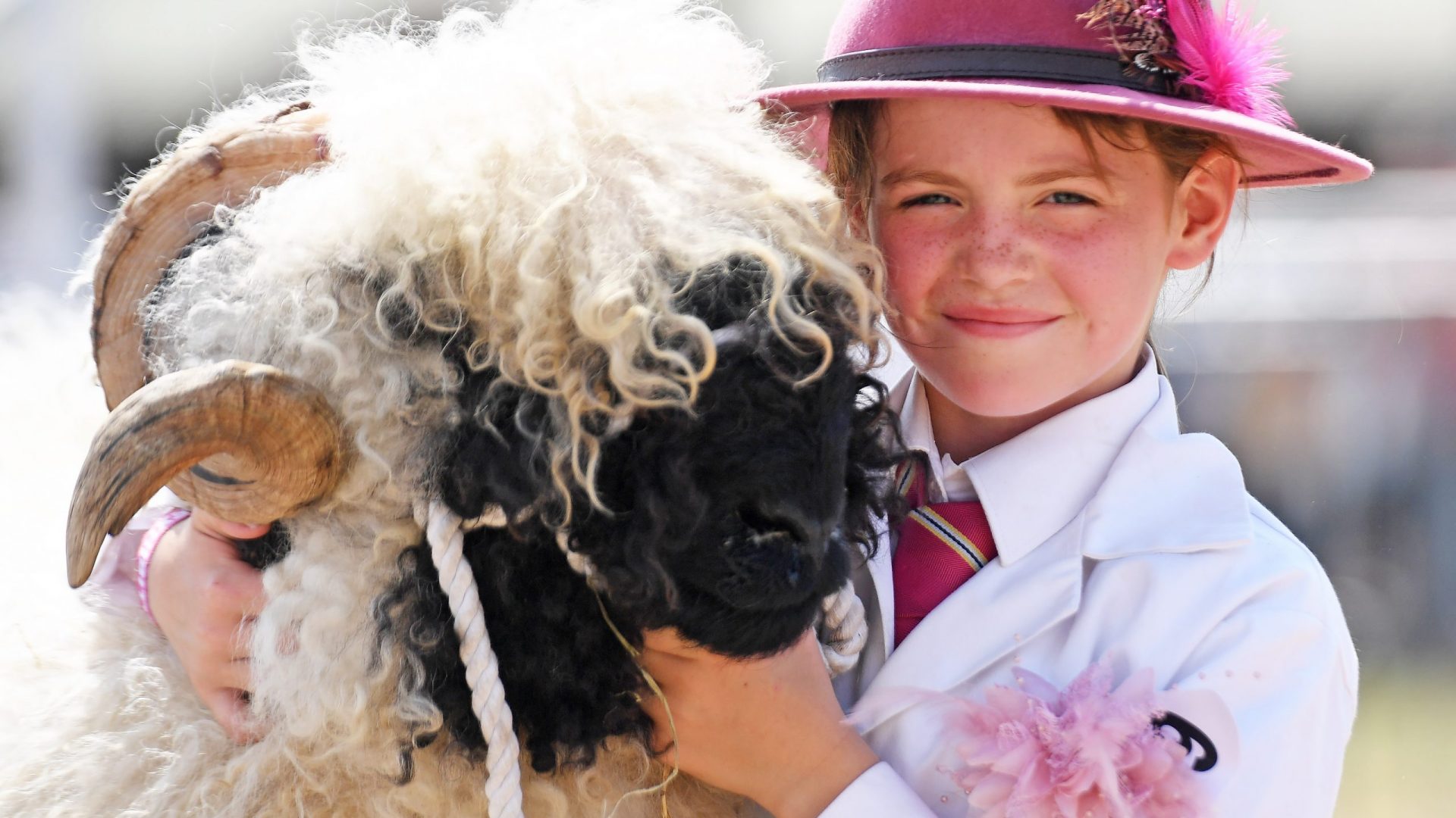 gys26_young-sheep-handler-girl-with-vbn